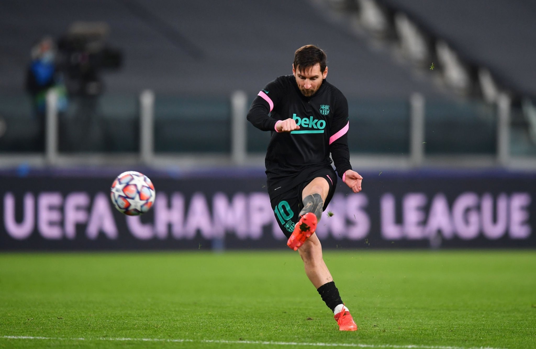 这不仅展示 这不仅展示